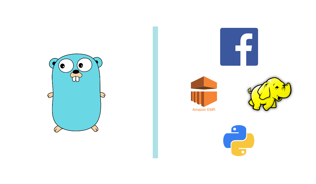 White background showing logos for GoLang, Facebook, Hadoop, Python, and Amazon EMR